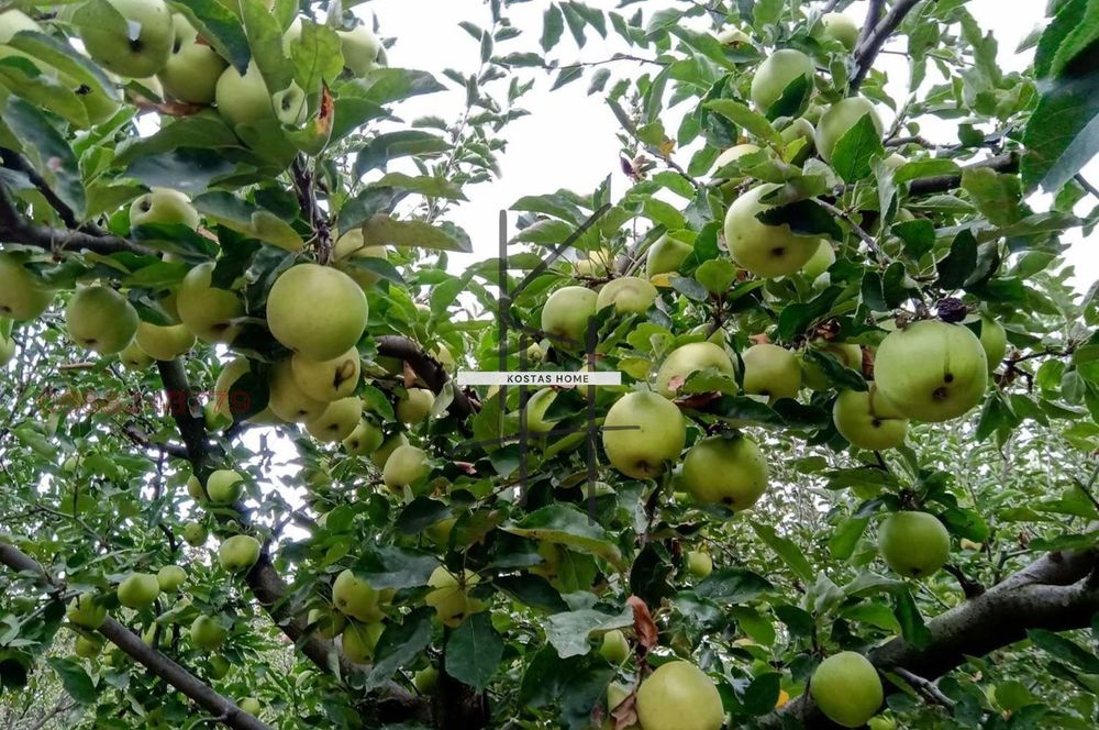 Къща в Варна, област-с.Бенковски площ 285 цена 195000