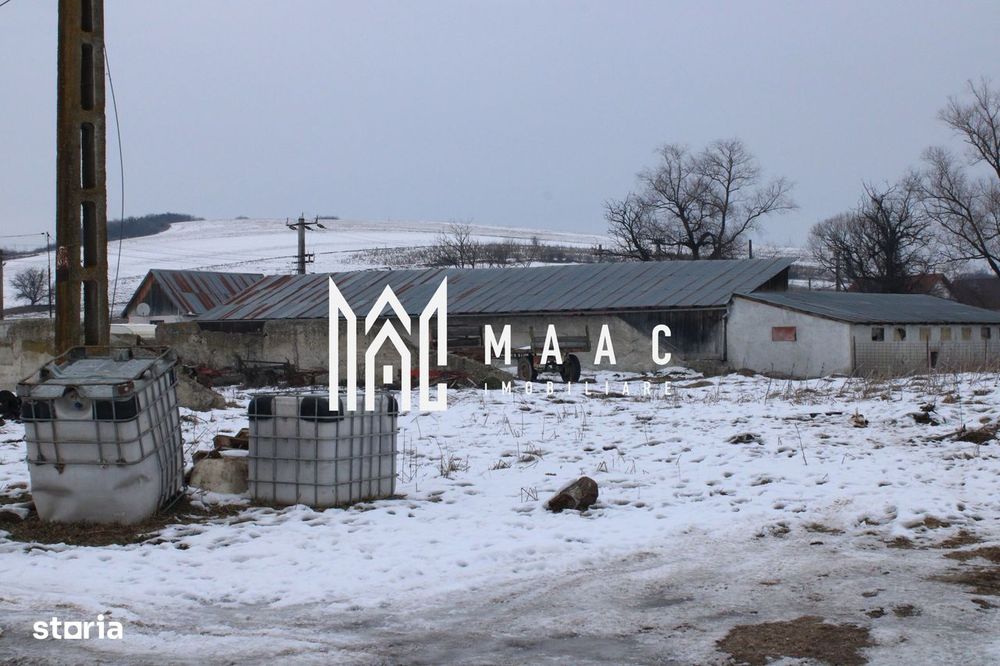 Teren 8000 mp I Intravilan I Utilitati I Vurpar