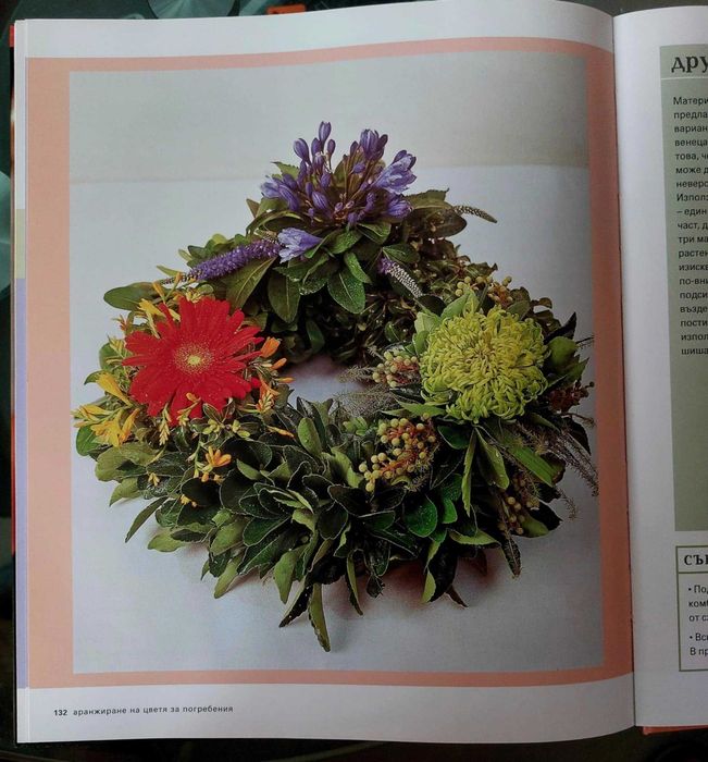 Икебана- Рима Мирска