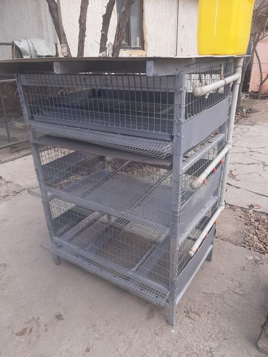 Брудер для перепелок