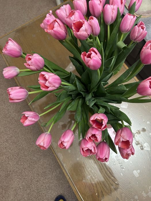 Свежий букет розовых тюльпанов