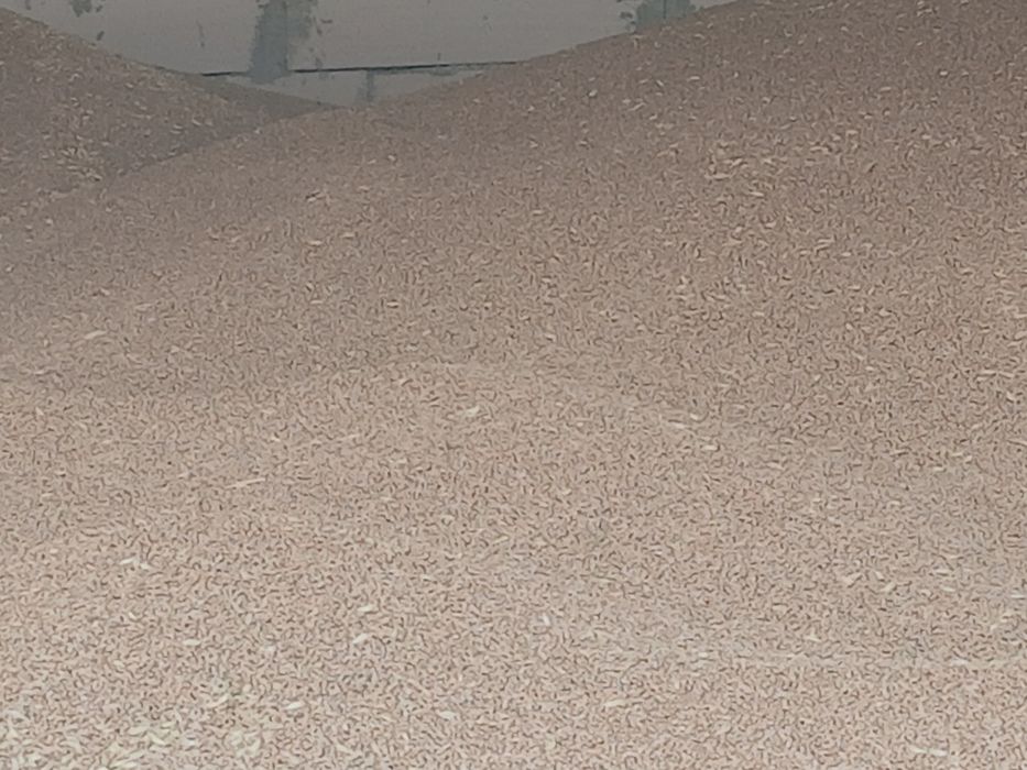 Vând grâu  prod 2025