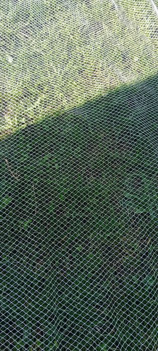 Setca pește,halău,crâsnic plasa