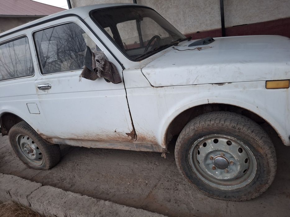 Ниваа   құжаттарымен