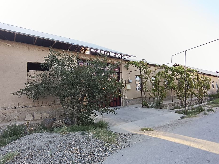 Hovli sotiladi: 12 sotix Navoiy viloyat Narpay tumani Kamolot mahalla