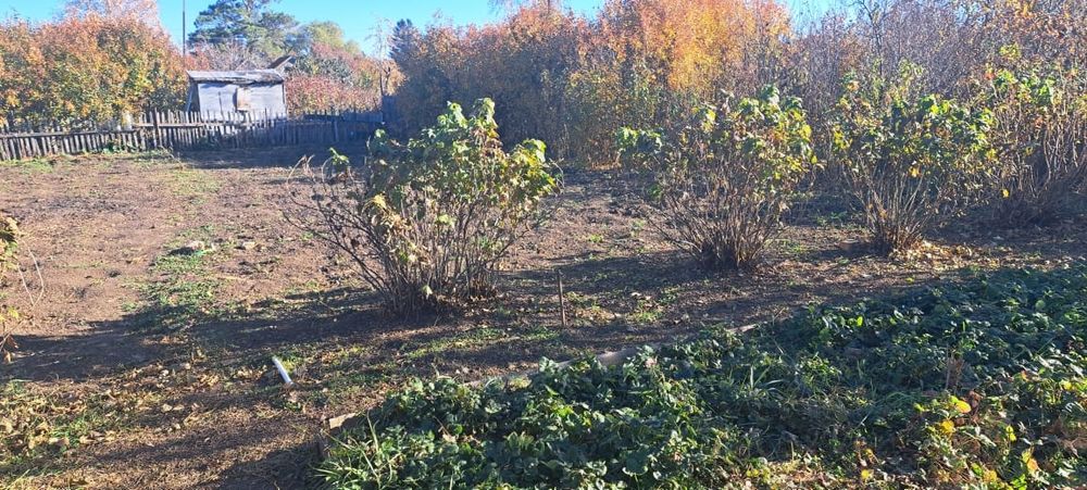 Продам дачный участок