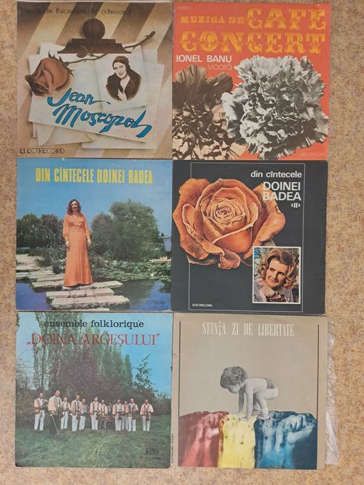Muzica de colectie, viniluri, Ocazie, 240 lei