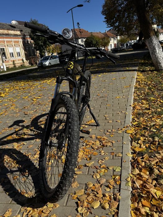 Mountain bike Graveler