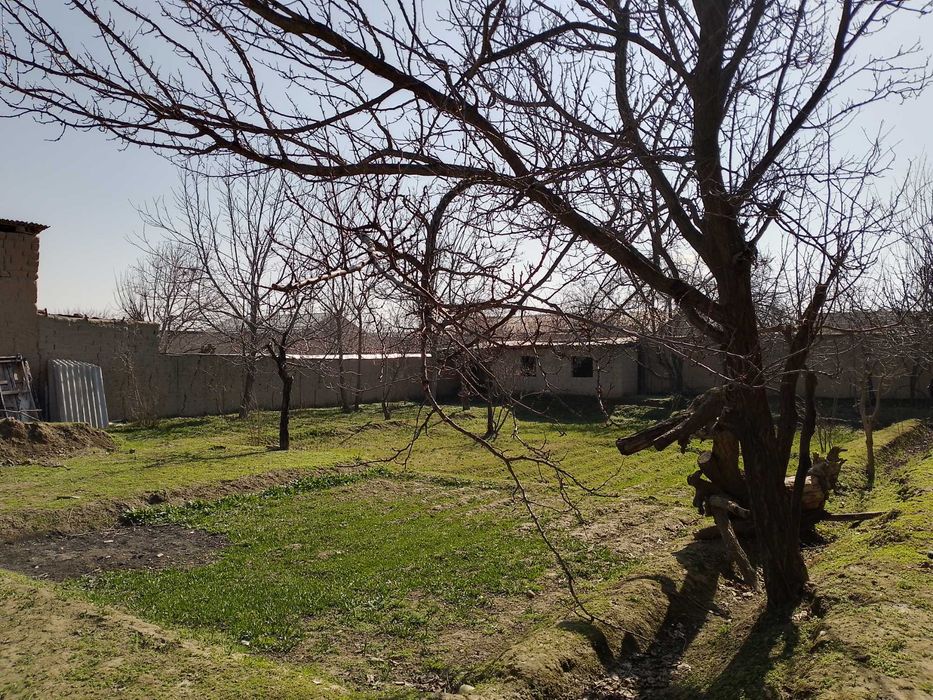 Участок 6 сотак йер