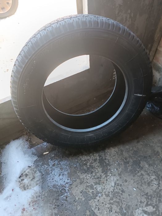 Продам резину (балоны)