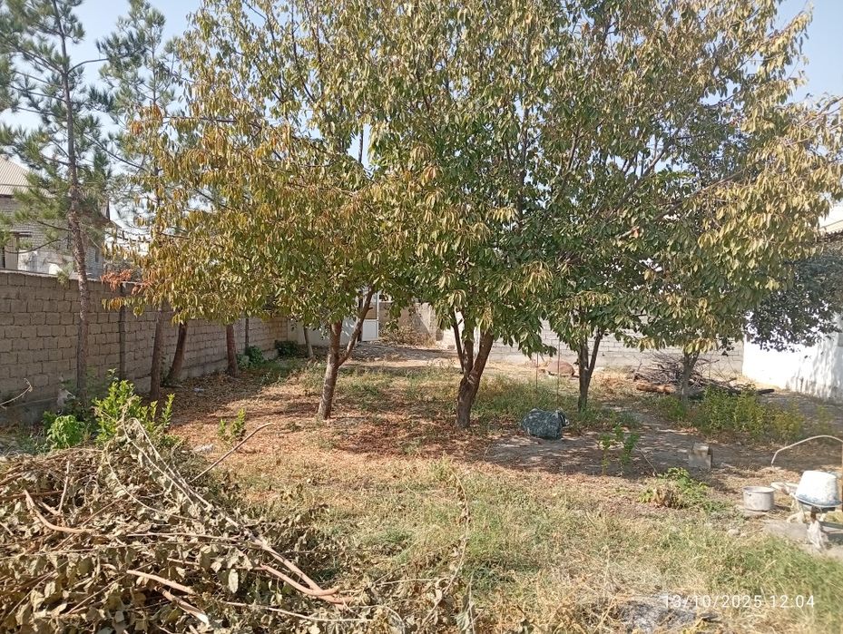 Yer sotiladi 2.sotik sotiki 12$mingdan