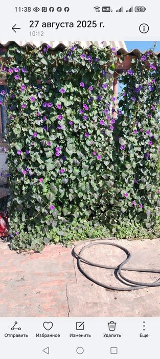 Продаётся дача  ПК "Черемушки"