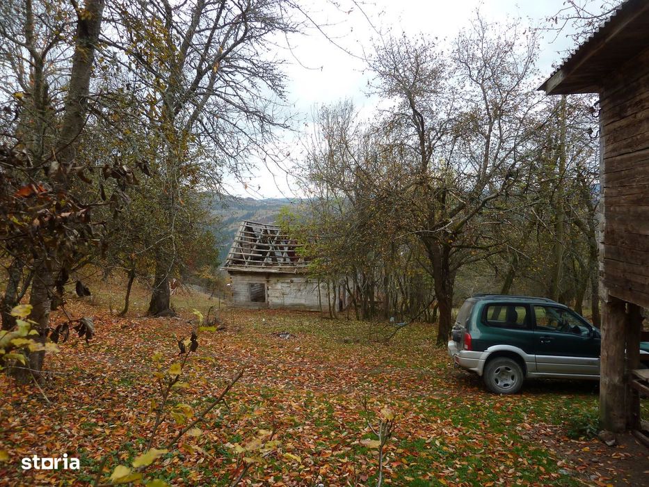 Casă + 4,4 ha (arabil, pășune, pădure), Scărișoara, Alba