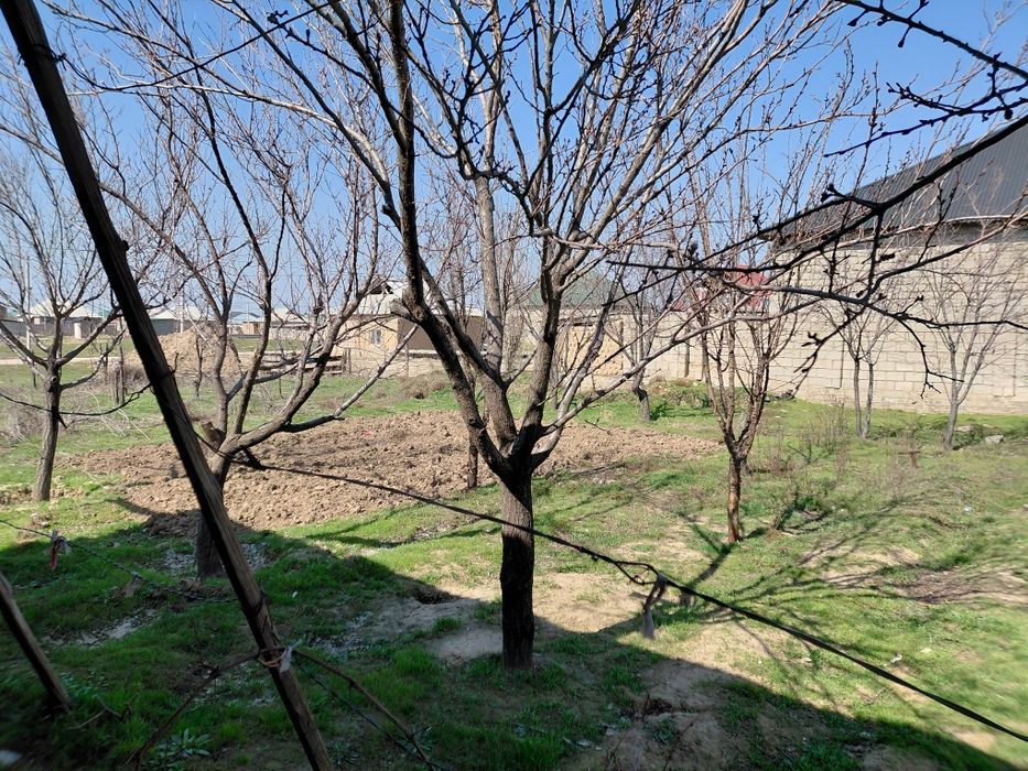 Үй сатылады.  Бадам ауылынан