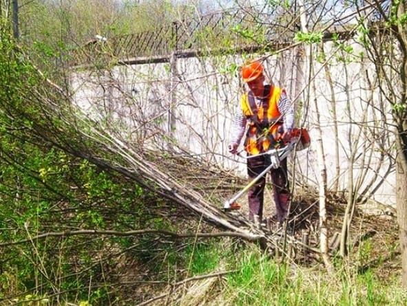 Спил деревьев обрезка ПРОФИ