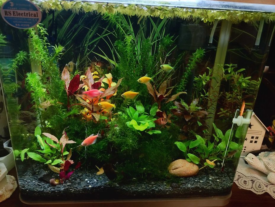 Аквариум комплект.