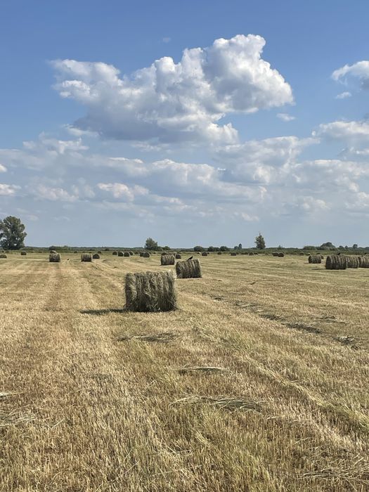 Продам рулоны 200кг