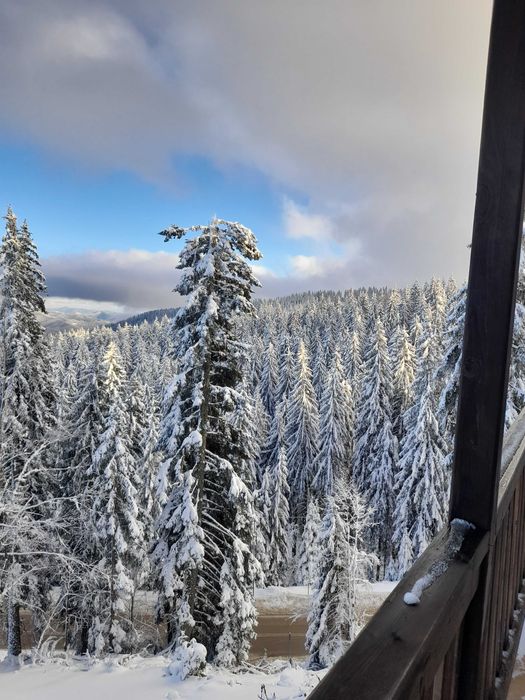 Продава се Едностаен апартамент в к.к. Пампорово - 35 кв.м за 943 €/кв.м - Снимка #9