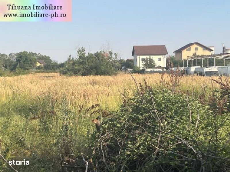 Teren de vanzare - Blejoi-(sat Ploiestiori)