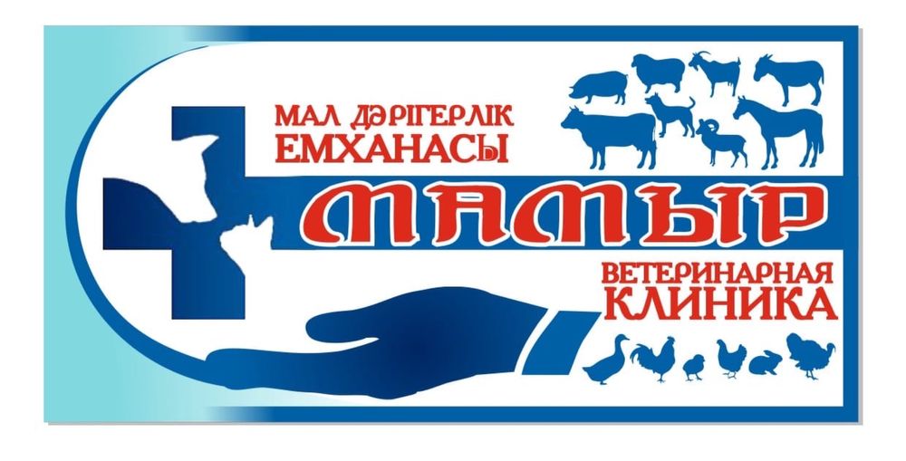Ветеринар.Ветеринарная клиника "МАМЫР"