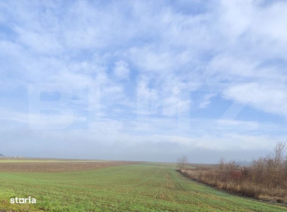 Teren 15000 mp extravilan, Miroslava-Vorovesti, langa zona de case