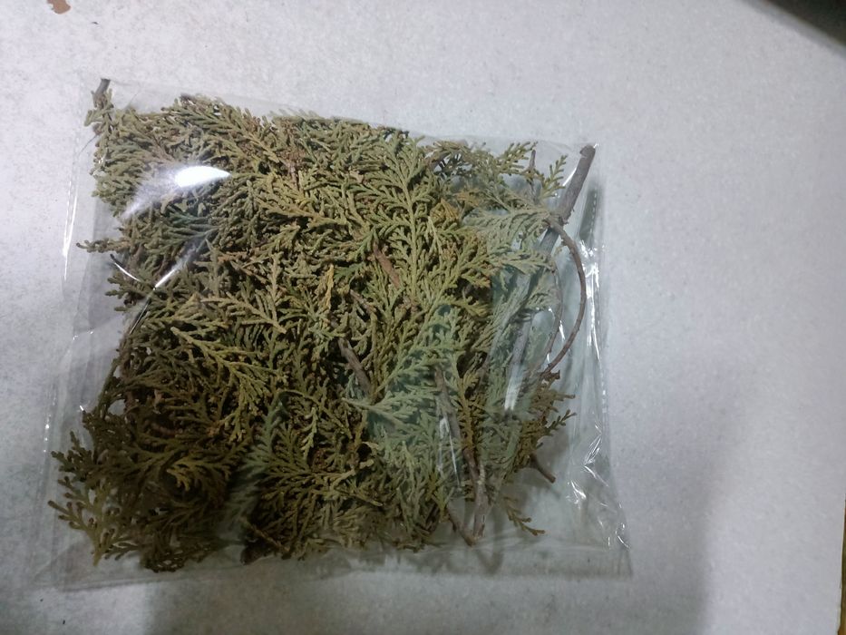 Адыраспандап адыраспан