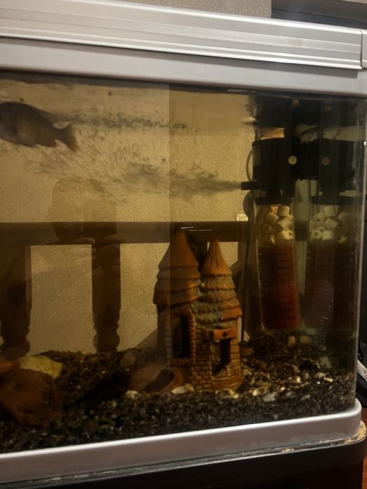 Аквариум 220 литров с тумбой