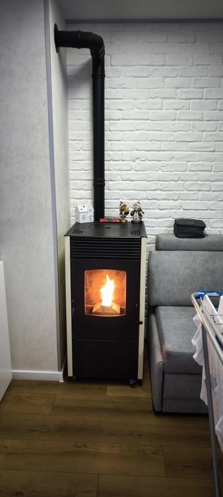 Пилетна камина суха