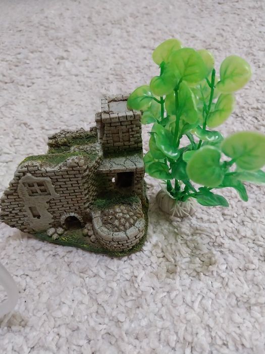 Acvariu set complet peste