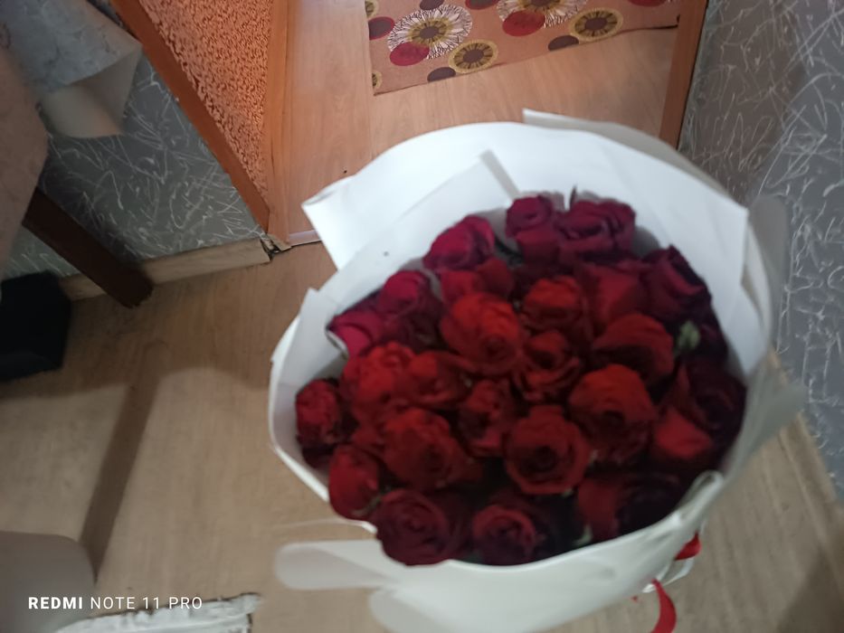 Қызыл раушан гүлдері