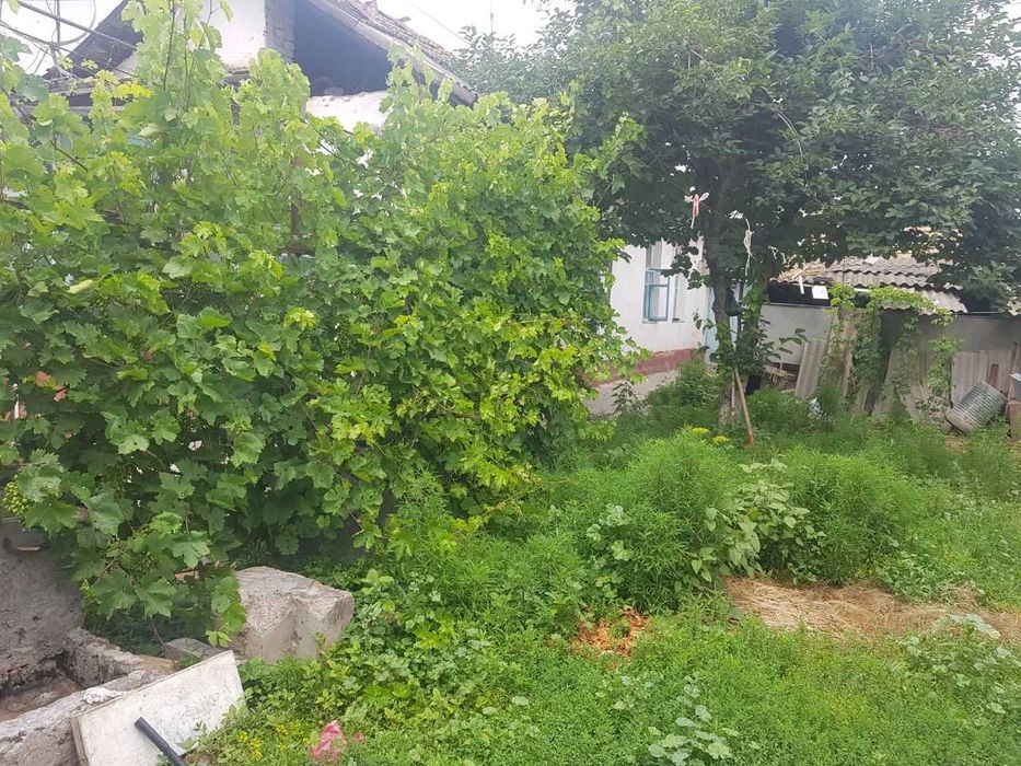 Yangiyol markazida 3 xonali 2 sotikli uy sotiladi maxalla yaxshi tinch