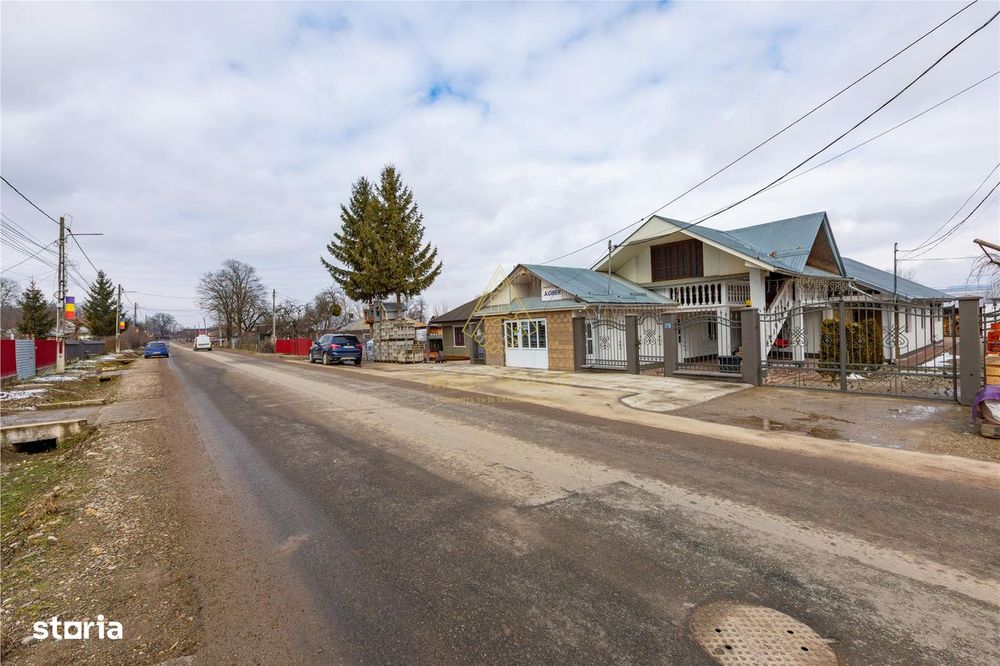 Casa P+M, teren 1500 mp + Afacere de Vanzare, com. Blagesti