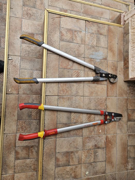 foarceci wolf  ramuri groase