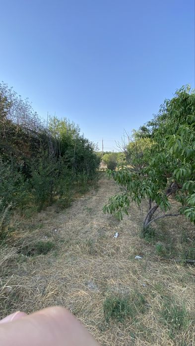 Dacha bog'i bilan