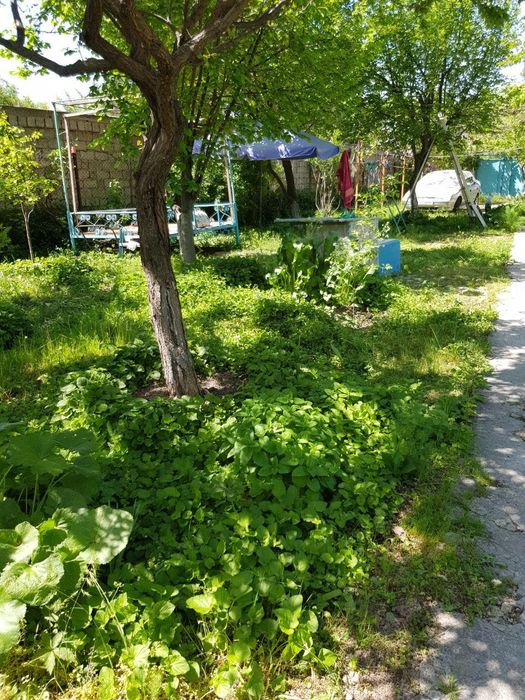 Срочная продажа. Дача(СВОЯ. Собственник) у парка "Янги Узбекистан"