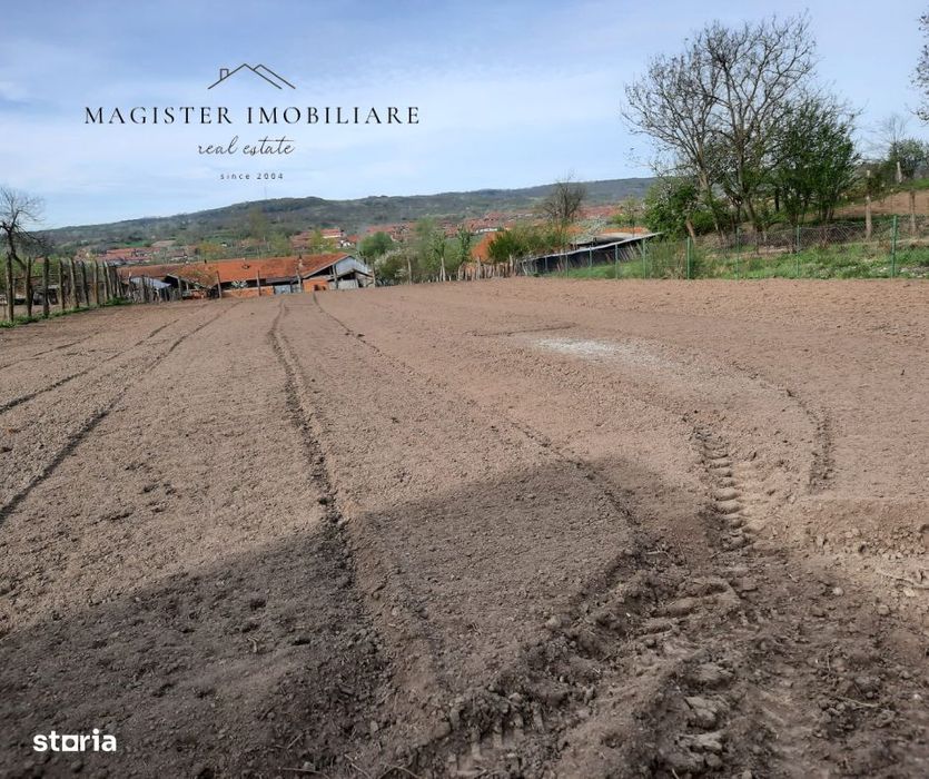 Casa 5 Camere, Teren 1600mp Zorlentu Mare