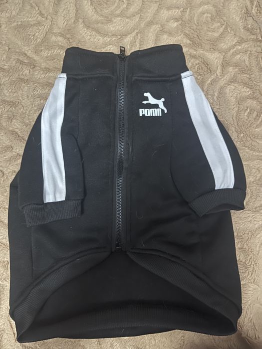 Вещи для маленьких пород собак либо щенков,