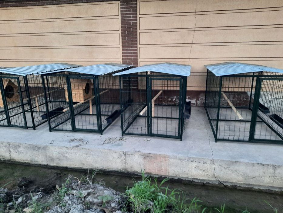 Parrandalar va kuchuklar uchun kataklar.