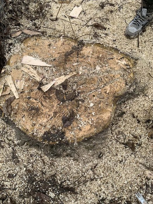 Lemn de Nuc , utilizat in scop de constrctie sau in scopul de creea ..