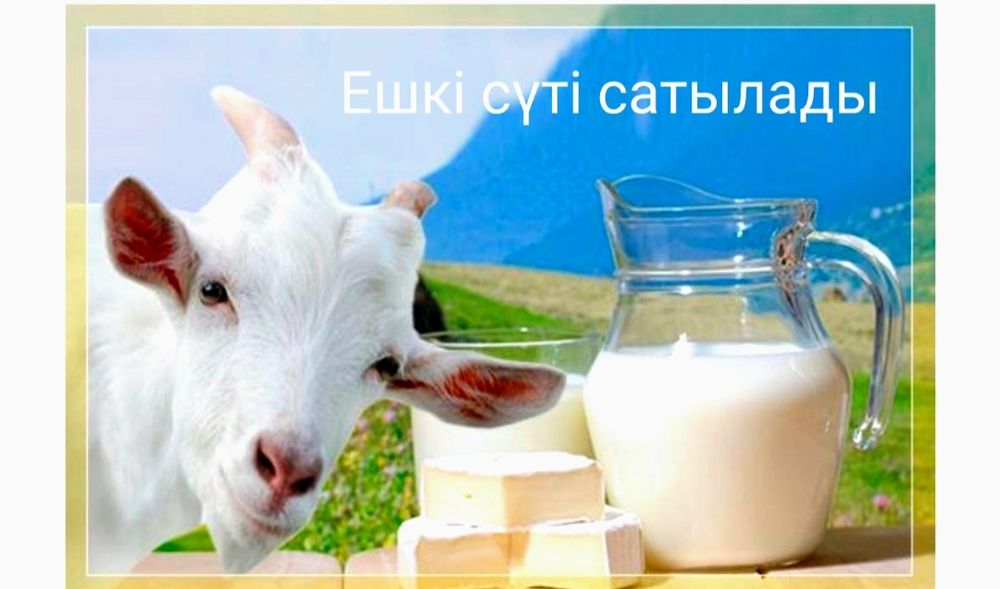 Бір пенисадағы сперматозоидтардың көп мөлшері