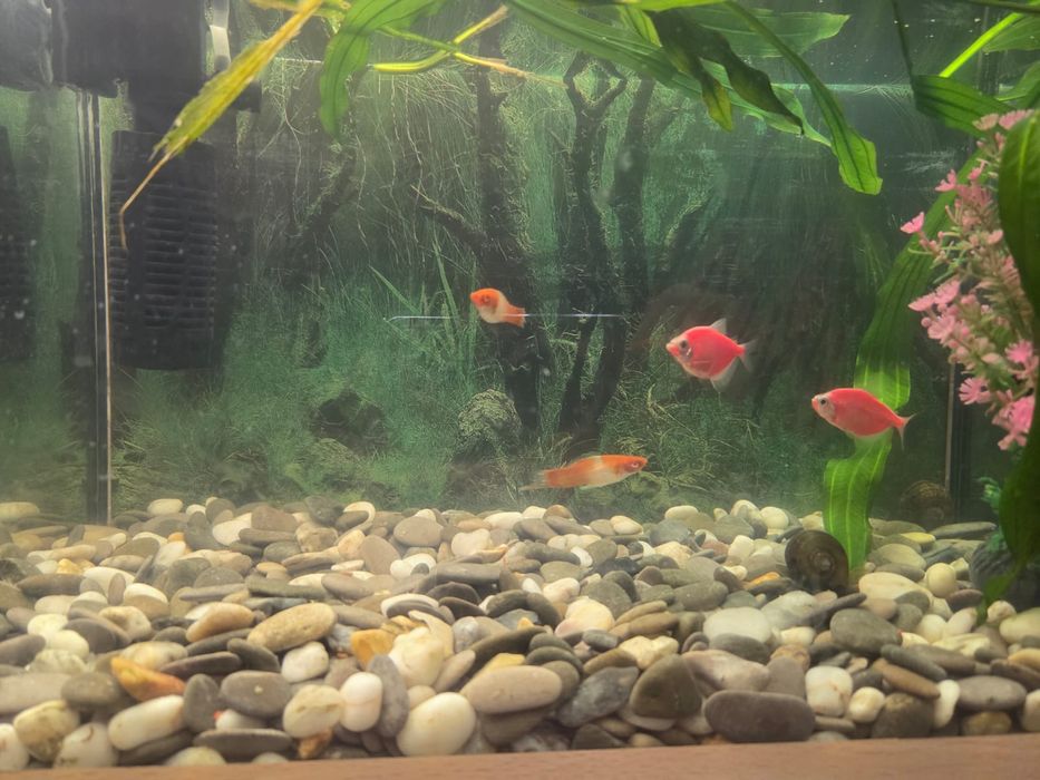 Продам аквариум б/у