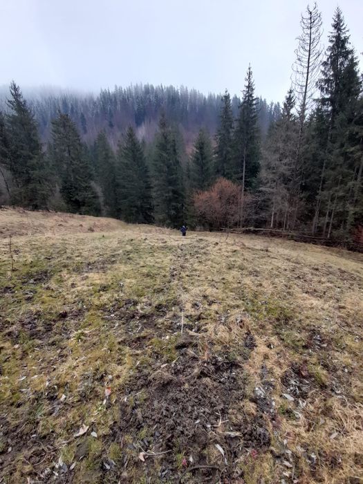 Vand teren extravilan in comuna Brodina, judetul Suceava