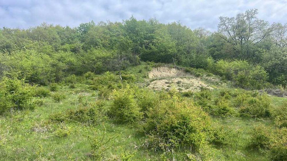 Teren de vânzare – Corunca Zona Valea Iubirii Coordonate GPS: 46.509002, 24.641028