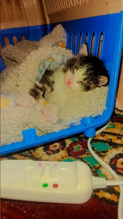 Малышка по имени Зайка