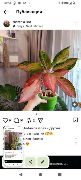 Распродажа цветов