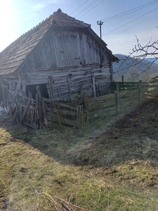 Constructii demontabile din lemn masiv de stejar