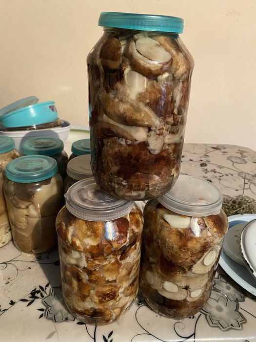Продам поттопольники