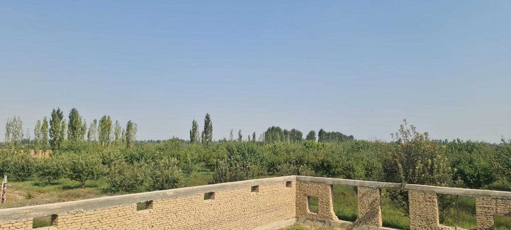 4 gektarli Bog' 20 Sotix Noturar joyi bor (  даромадли бог)