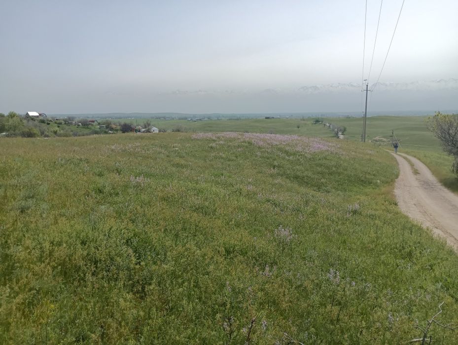 Продам участок в поселке Турар