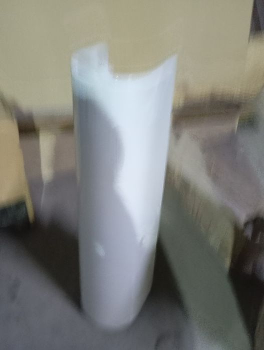 Rakvina stoykasi bor